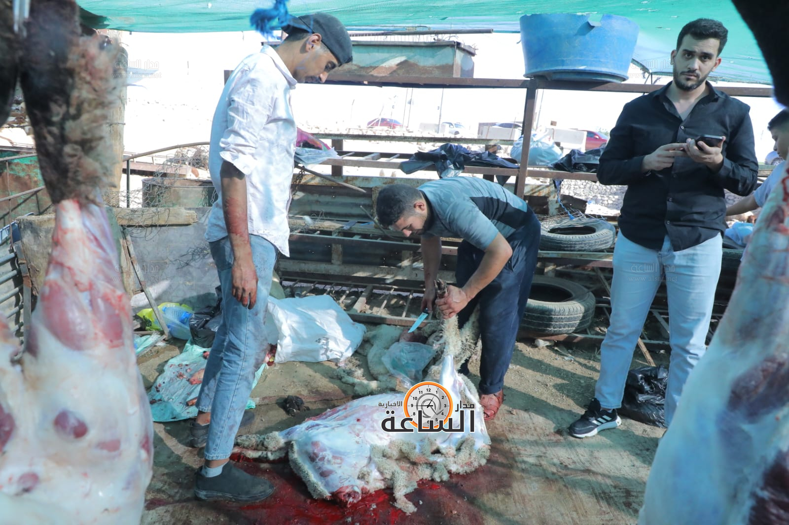 Madar Al-Saa Images 0.9585604979011166