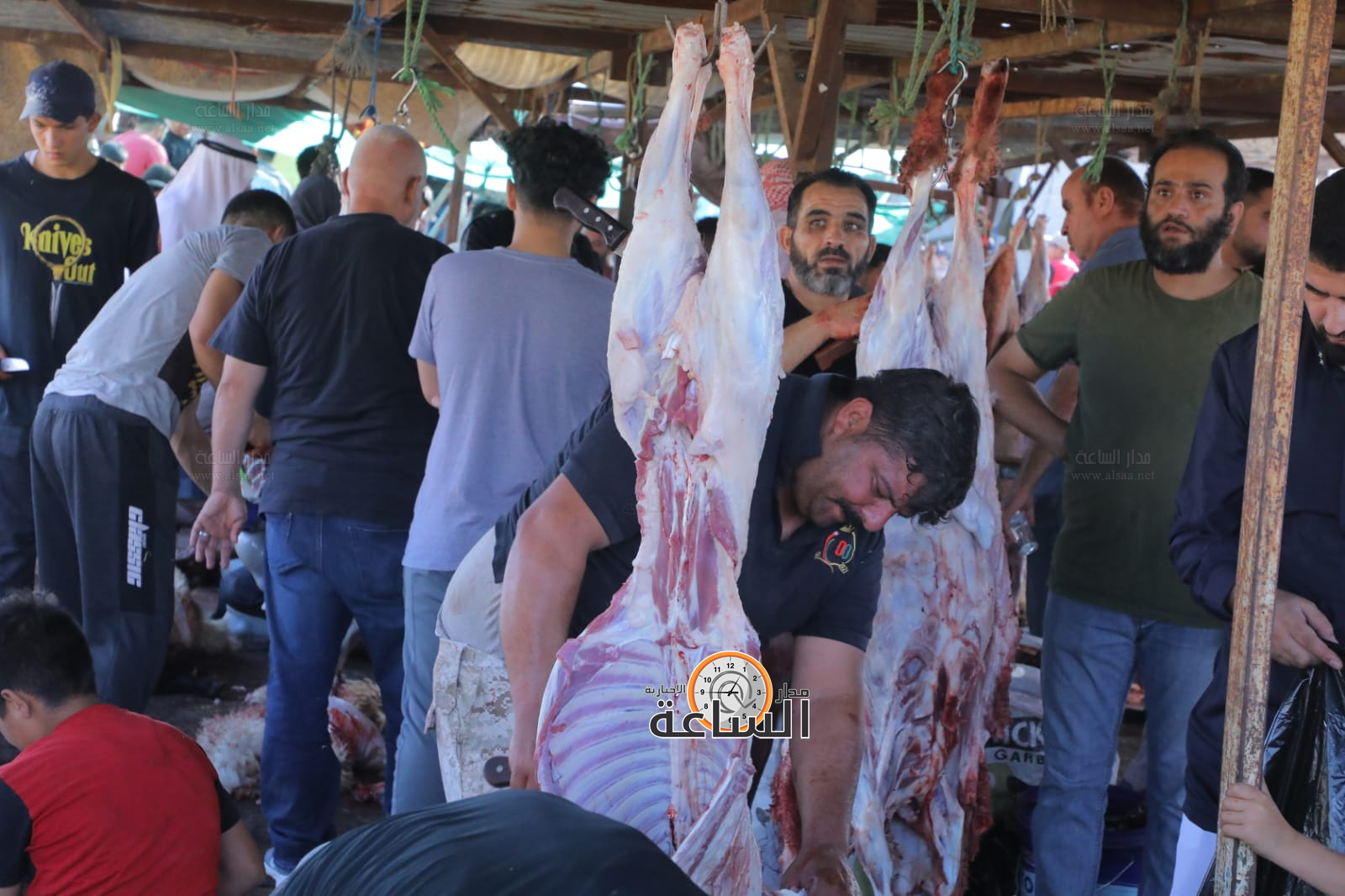 Madar Al-Saa Images 0.45185160993119333