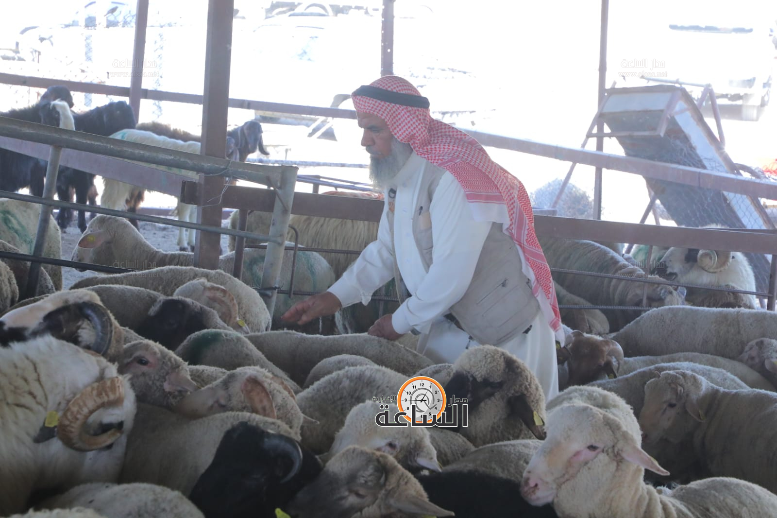 Madar Al-Saa Images 0.35351199408624034