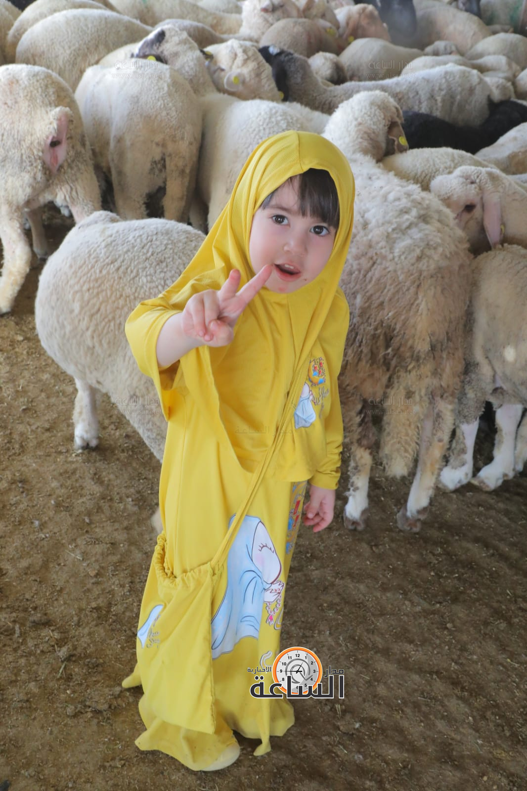 Madar Al-Saa Images 0.8503876798926433