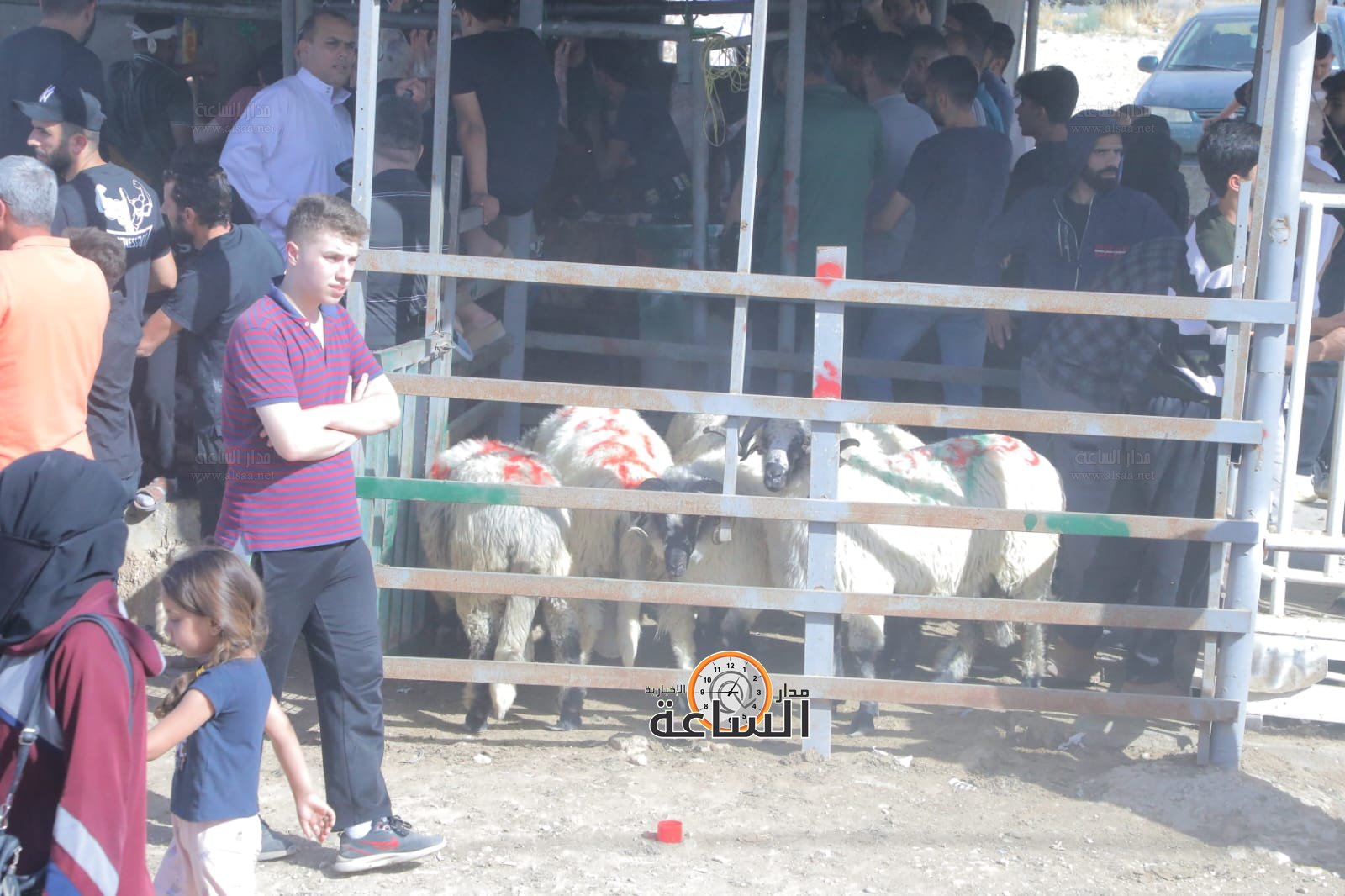 Madar Al-Saa Images 0.37343920717826906