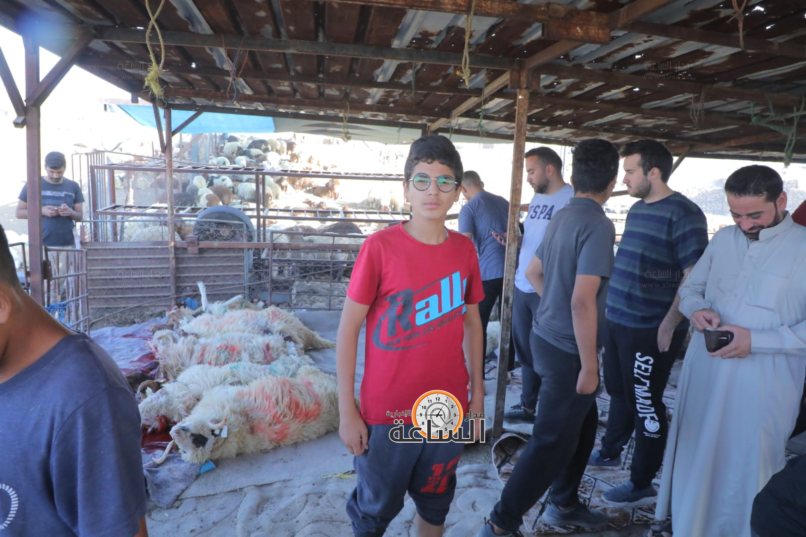 Madar Al-Saa Images 0.4948892406655705