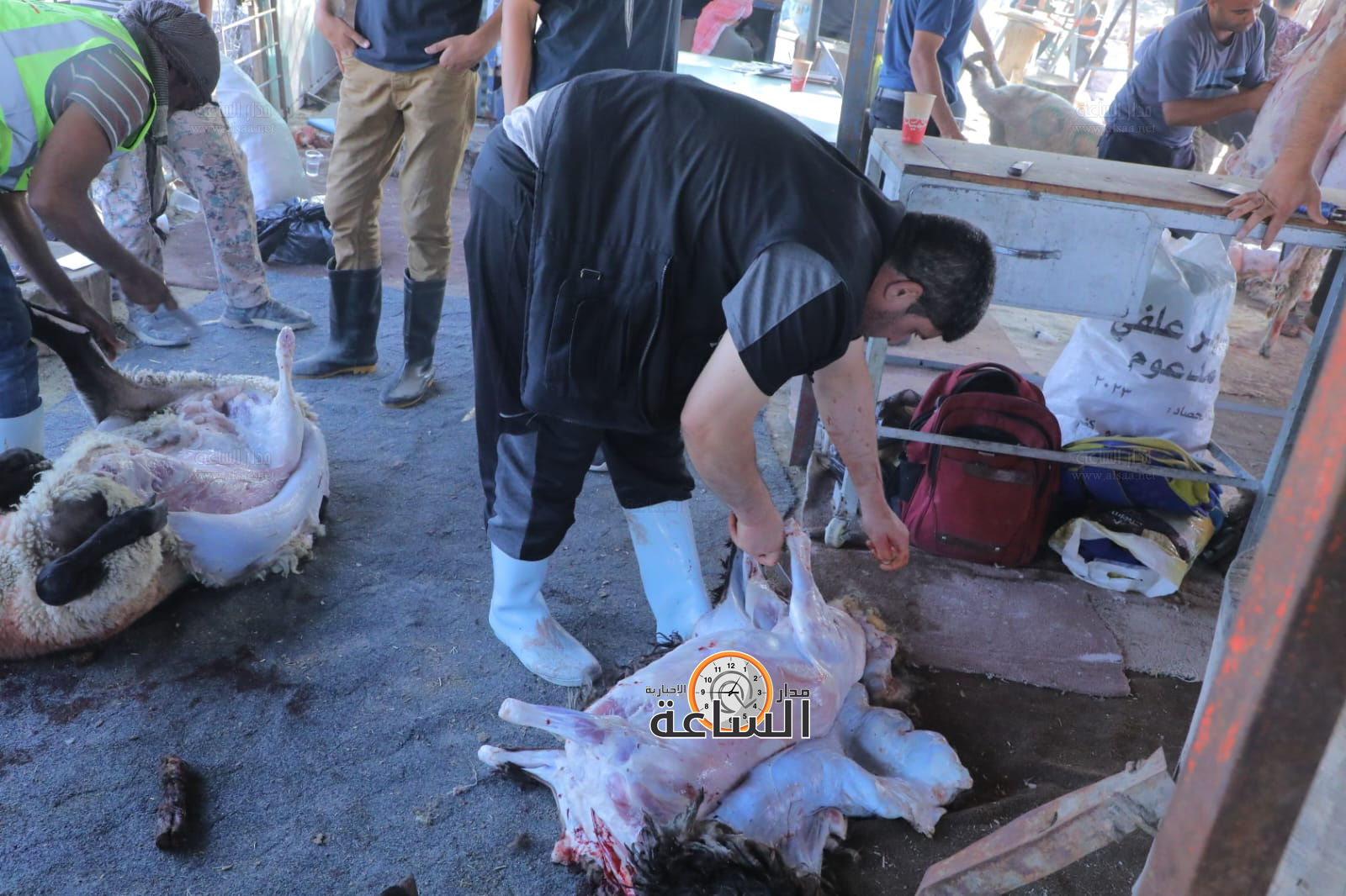 Madar Al-Saa Images 0.08007907573702111