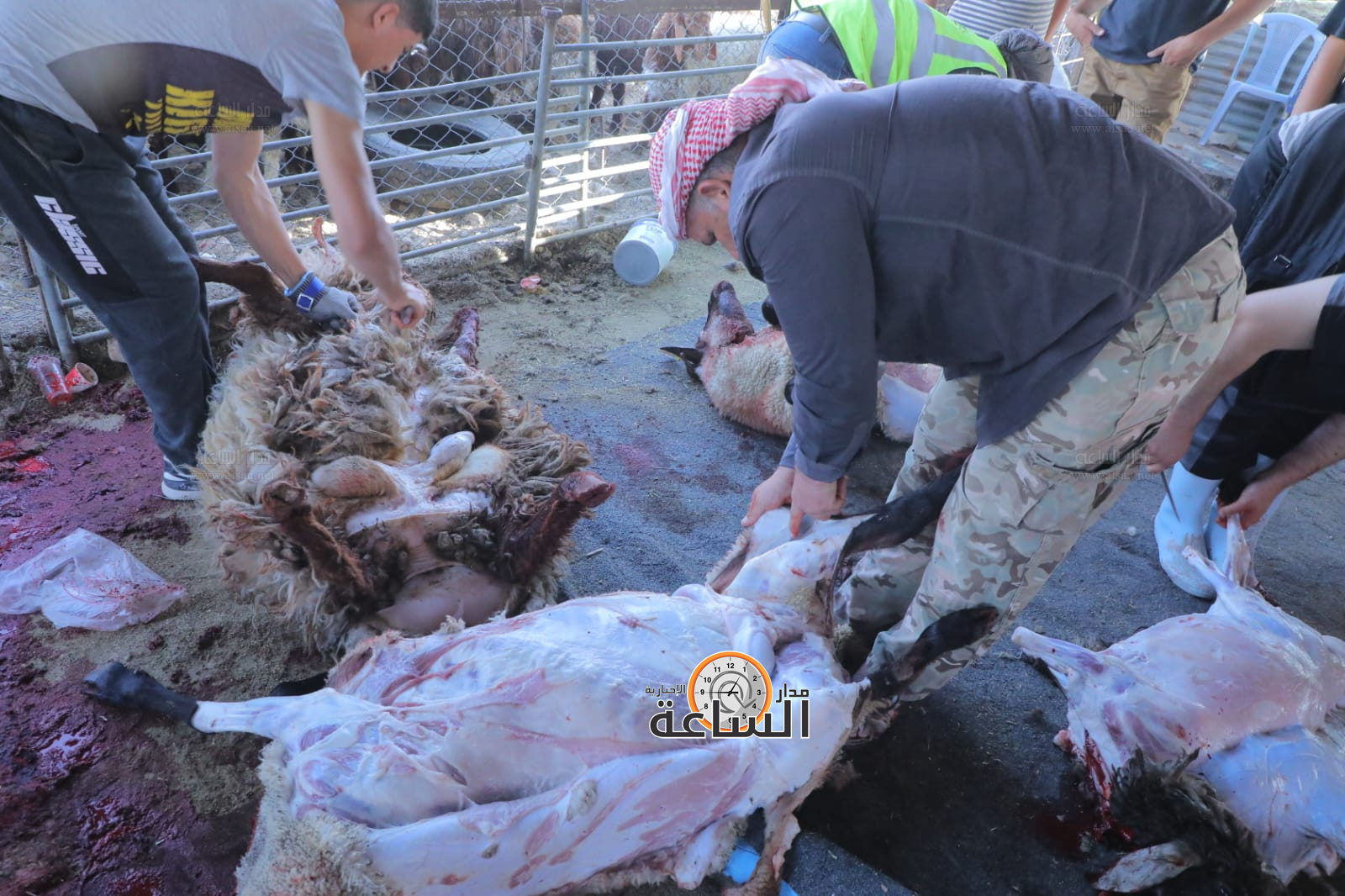 Madar Al-Saa Images 0.9713985337211968