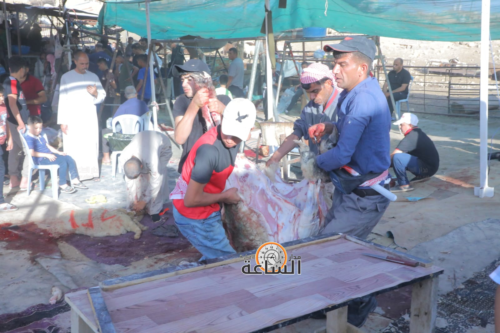 Madar Al-Saa Images 0.38008172334671064