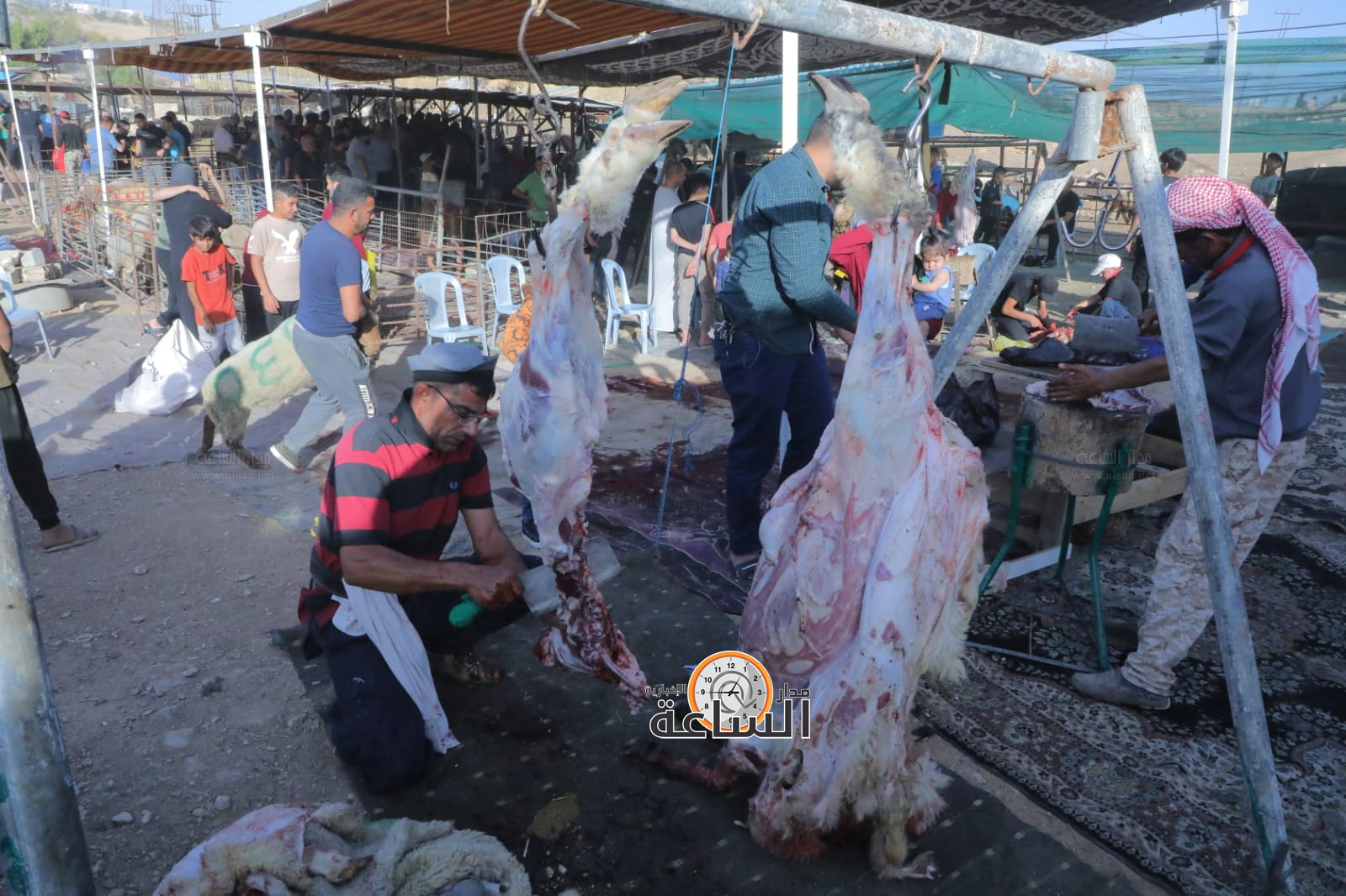 Madar Al-Saa Images 0.7584823470567894