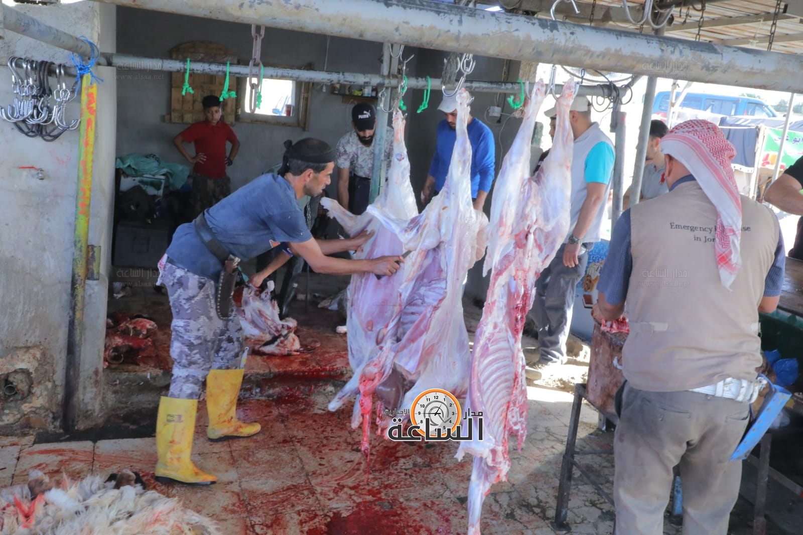 Madar Al-Saa Images 0.7546346263573367