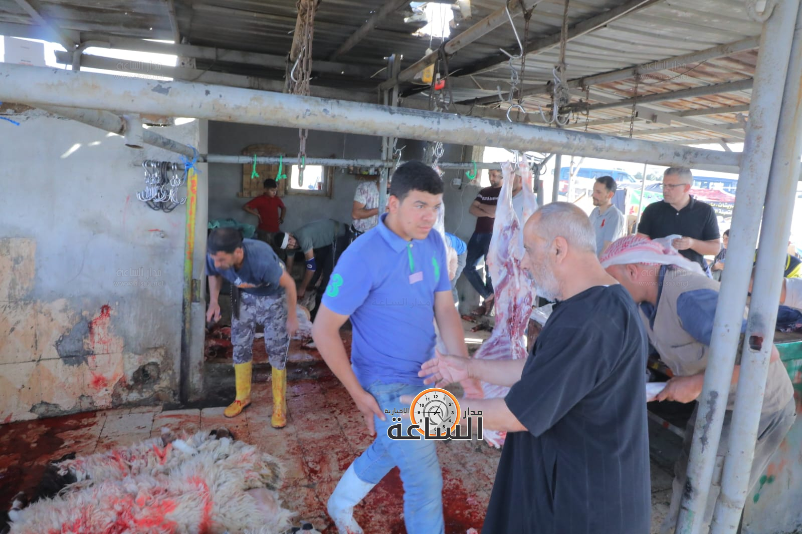 Madar Al-Saa Images 0.13497732741570245