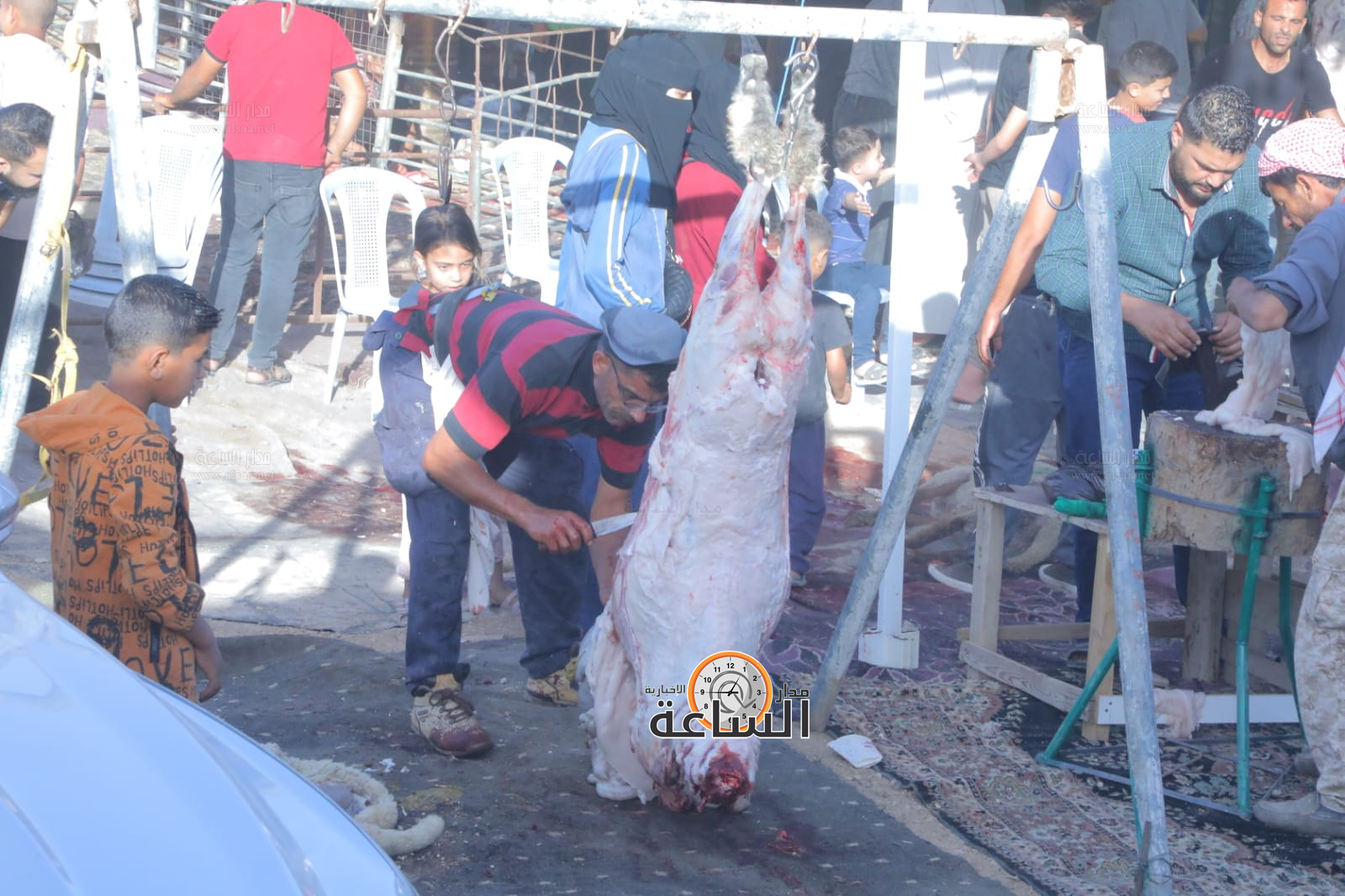 Madar Al-Saa Images 0.5000629293418728