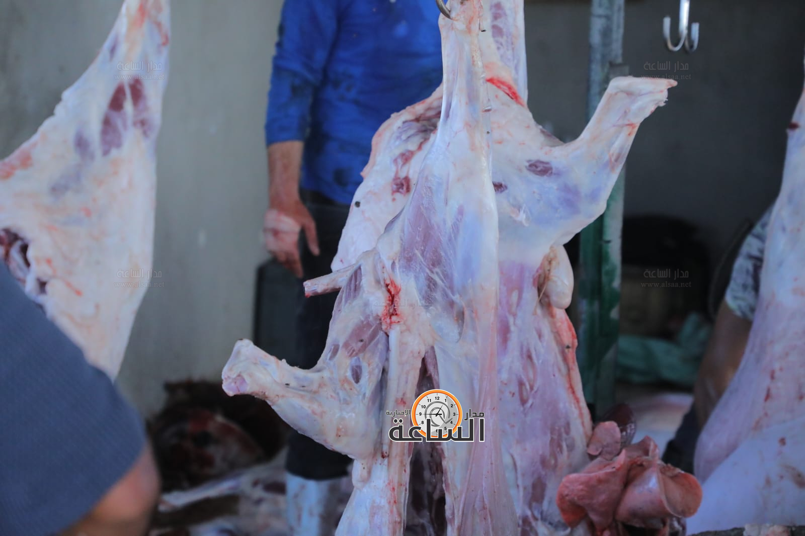 Madar Al-Saa Images 0.41881280467292226