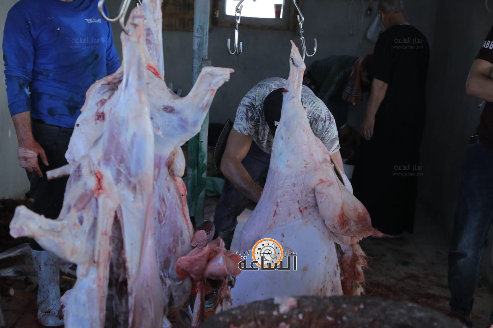 Madar Al-Saa Images 0.2110175799922449