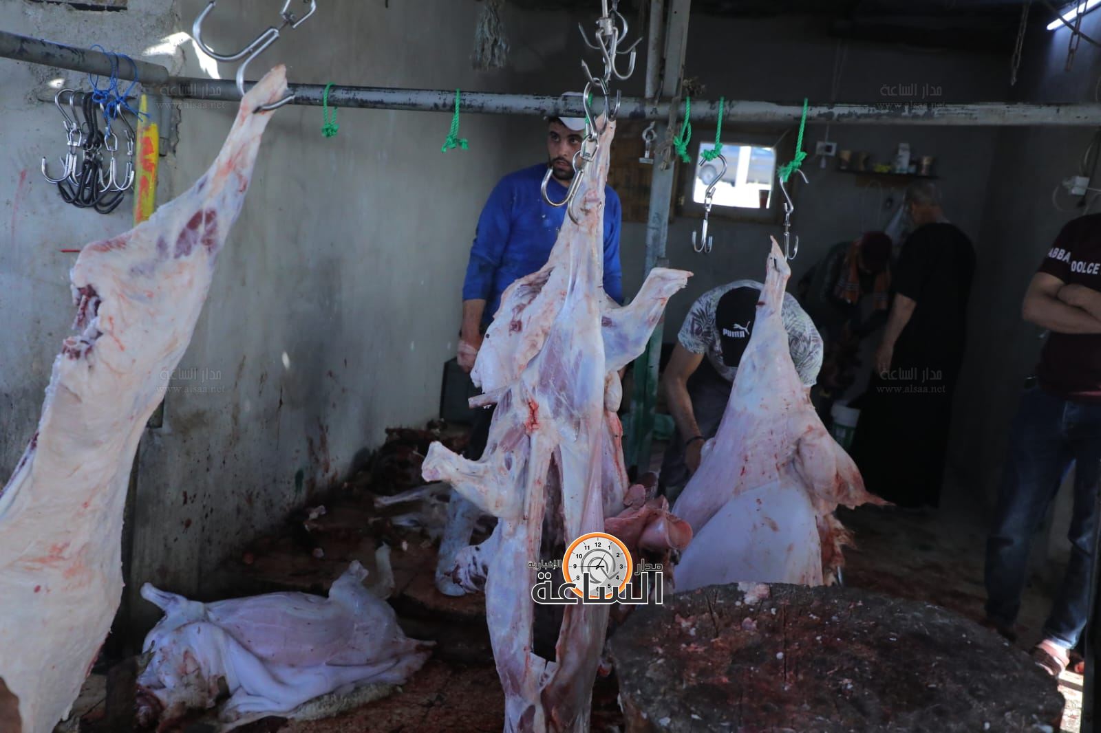 Madar Al-Saa Images 0.6258160635694876