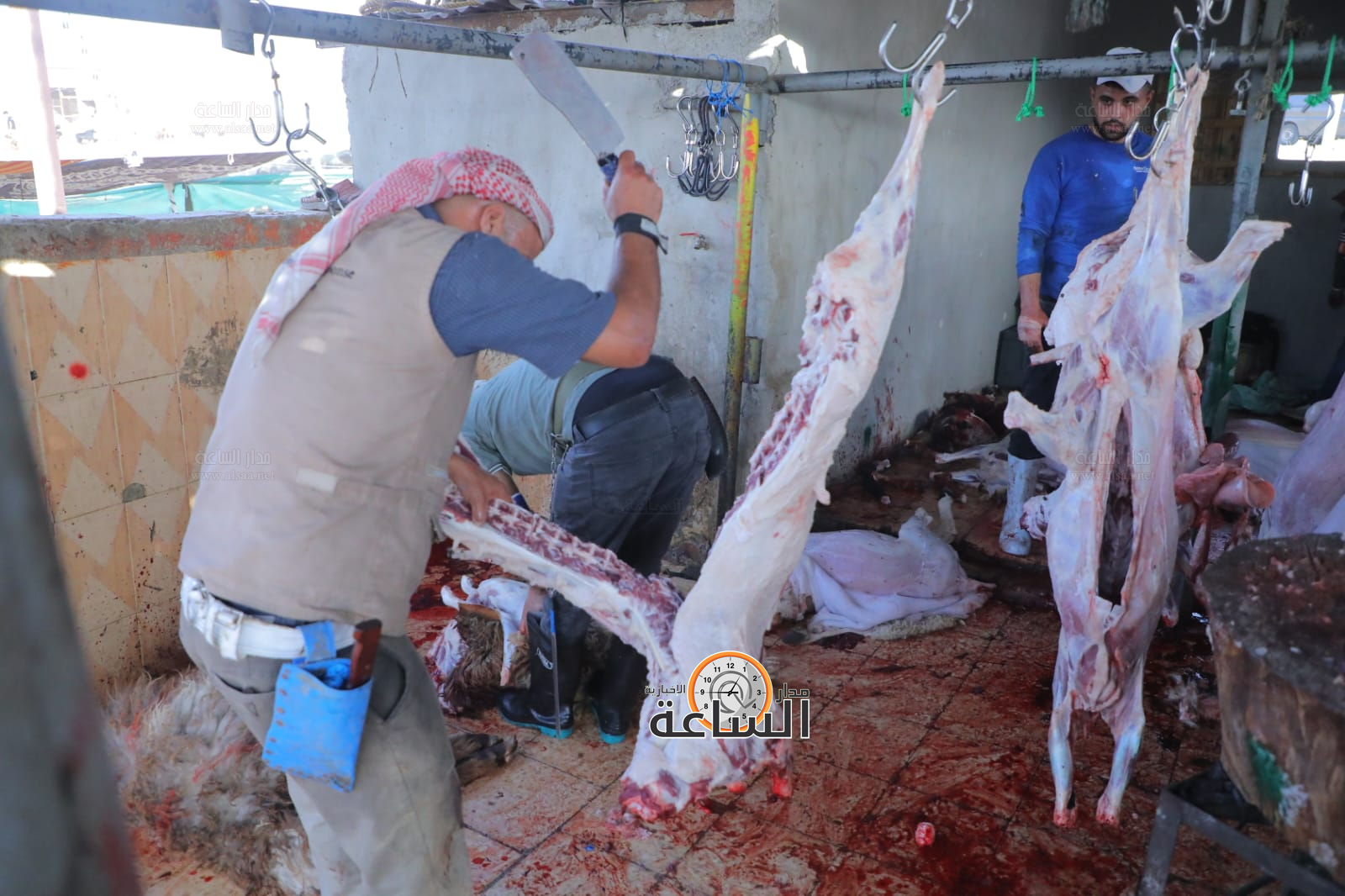 Madar Al-Saa Images 0.3096162461848264