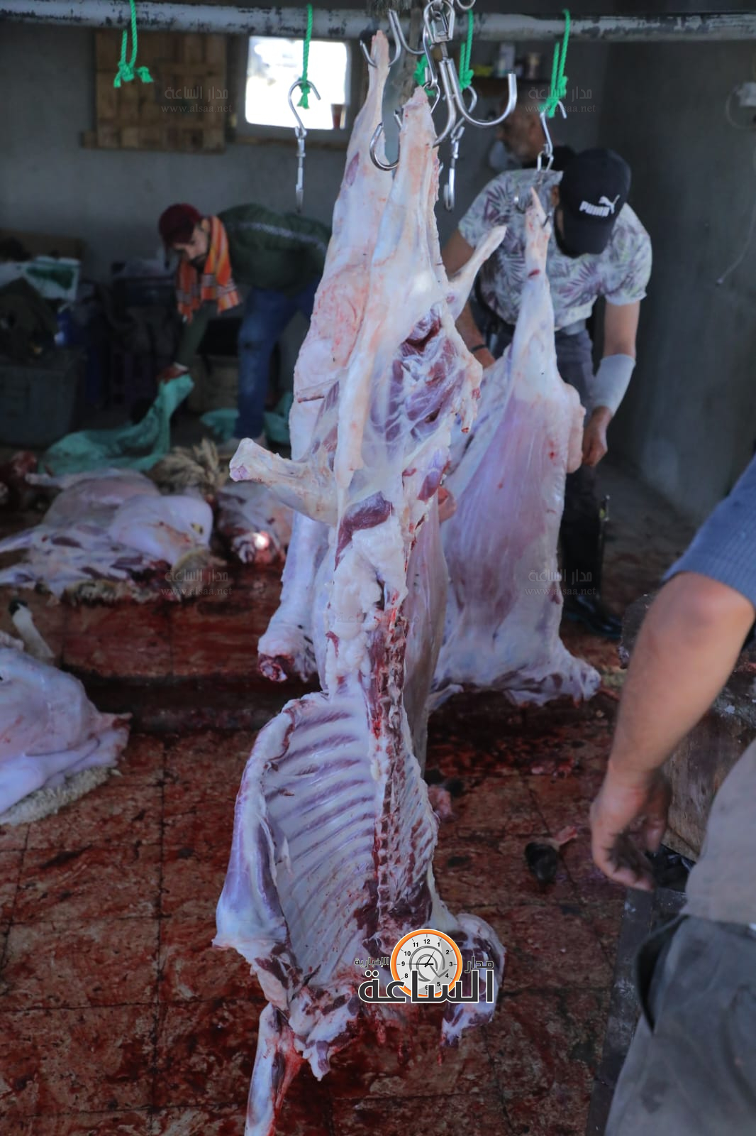 Madar Al-Saa Images 0.5004284361409126