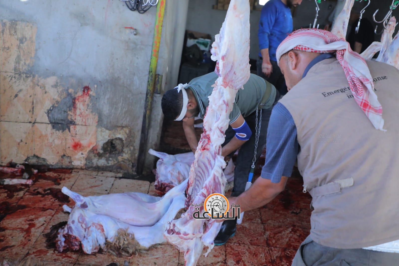 Madar Al-Saa Images 0.19313439214487915