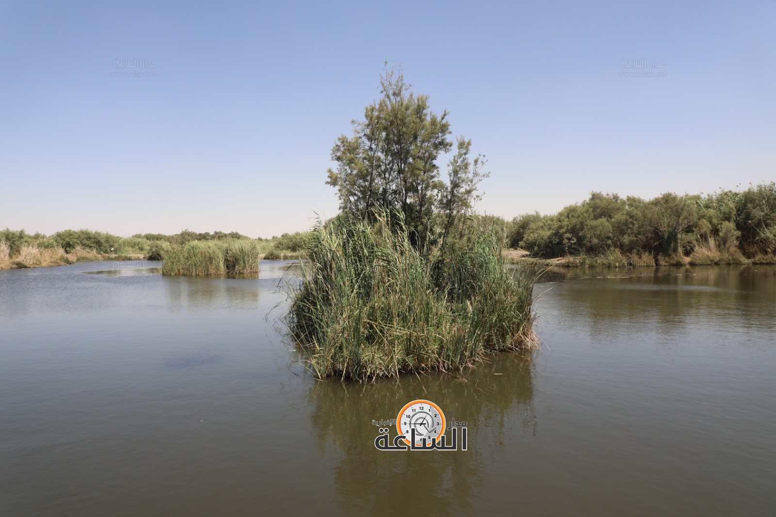 Madar Al-Saa Images 0.6082314476189206