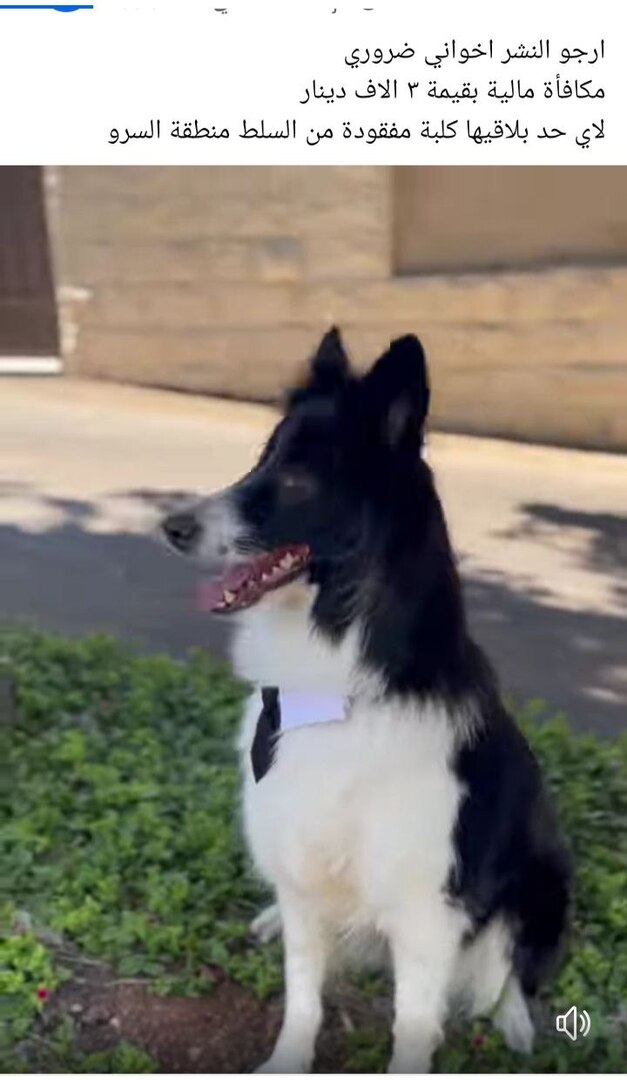 Madar Al-Saa Images 0.7938707400662082