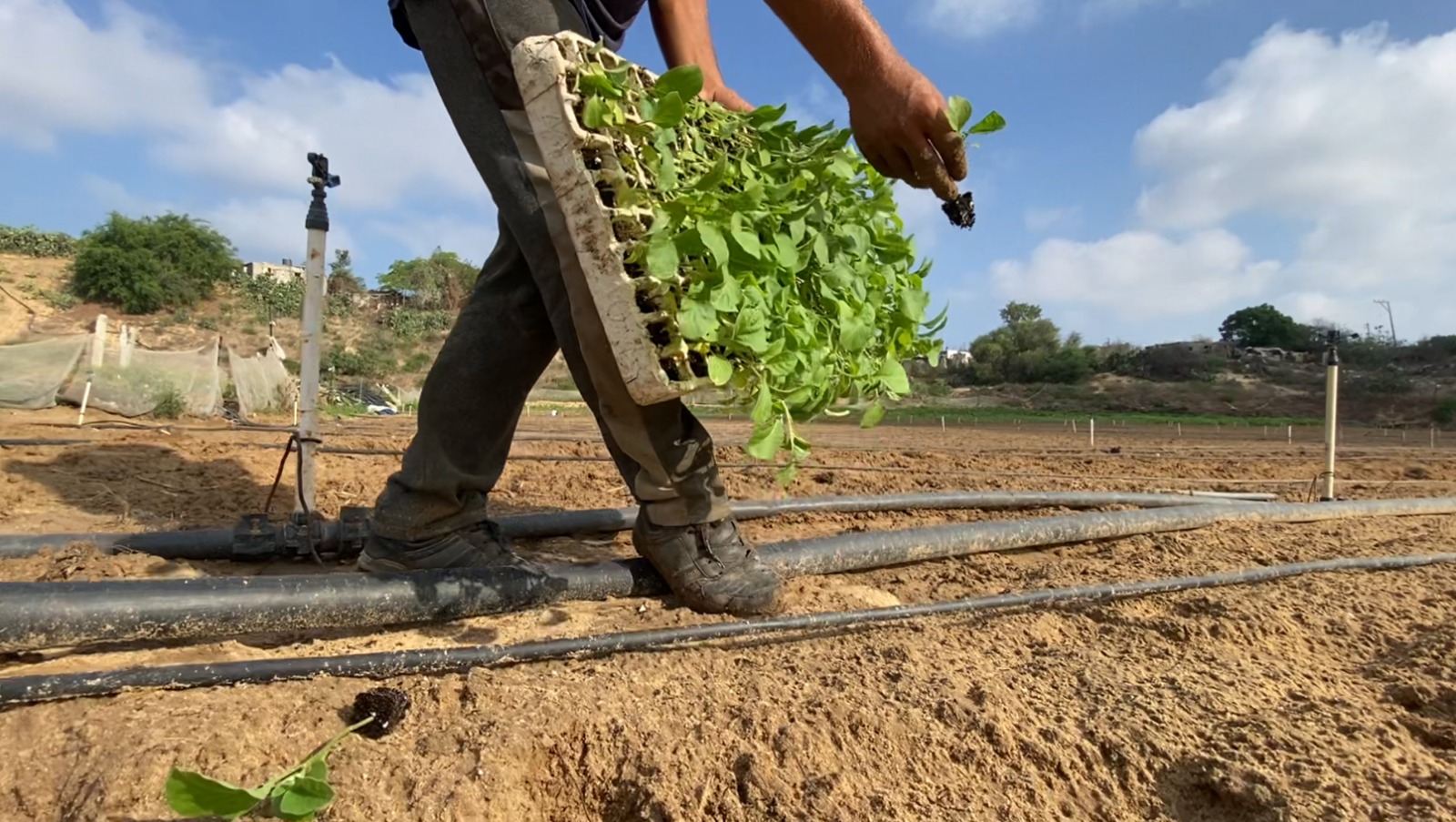 Madar Al-Saa Images 0.7265526157553917