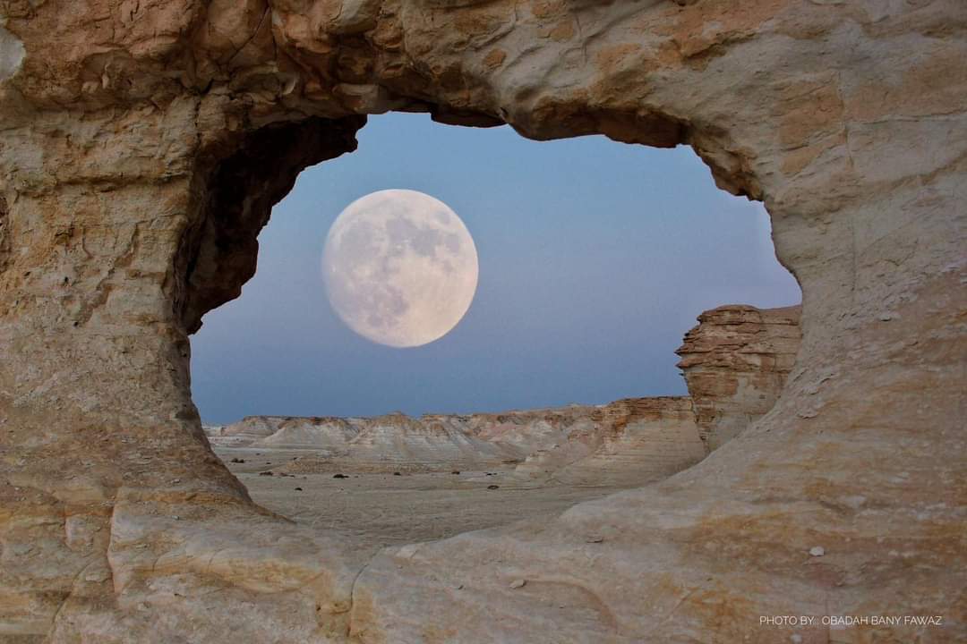 Madar Al-Saa Images 0.6466951086170261