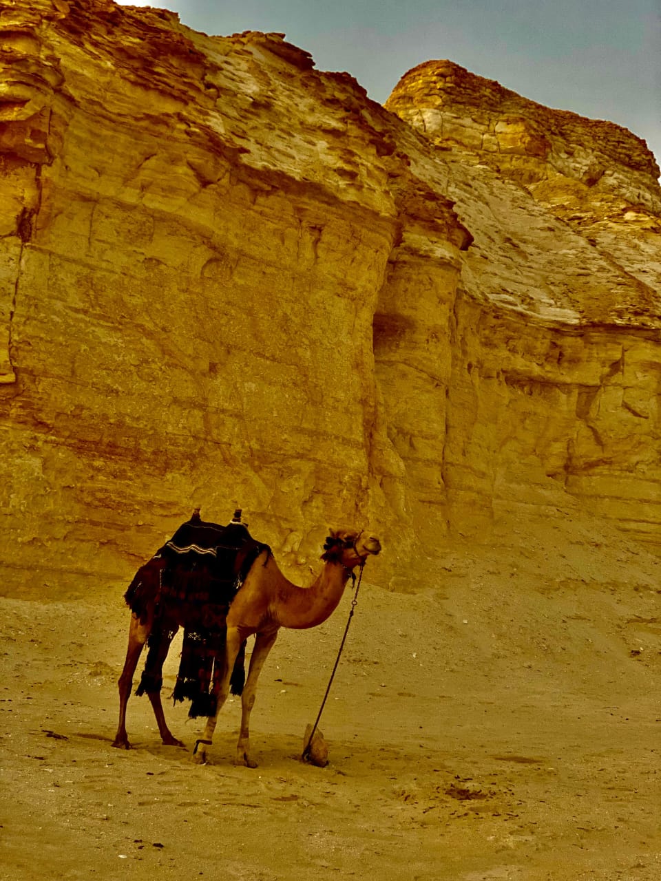 Madar Al-Saa Images 0.4138786389878897