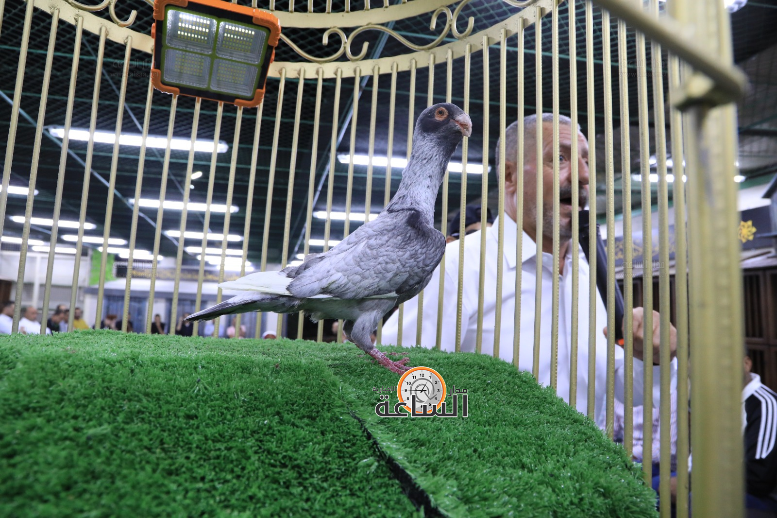 Madar Al-Saa Images 0.7272444101626219