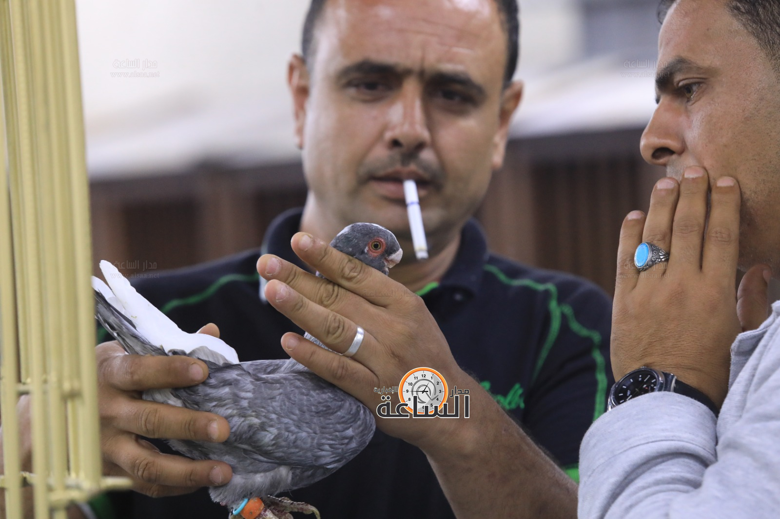 Madar Al-Saa Images 0.21058469590595208