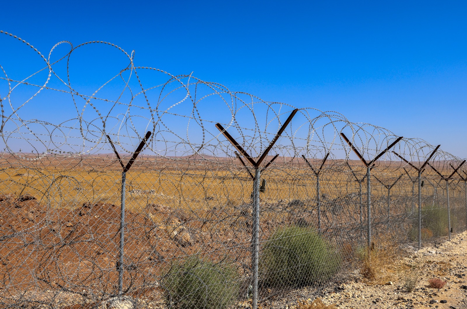 Madar Al-Saa Images 0.054955324854870646