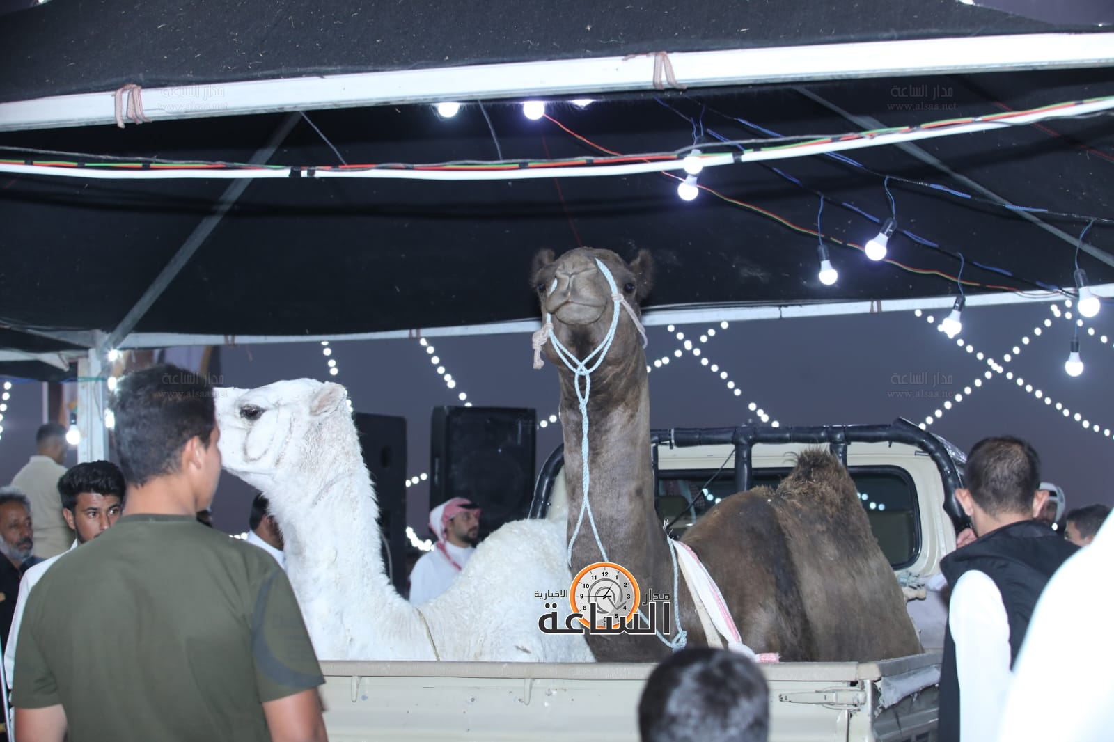 Madar Al-Saa Images 0.5168328217419385