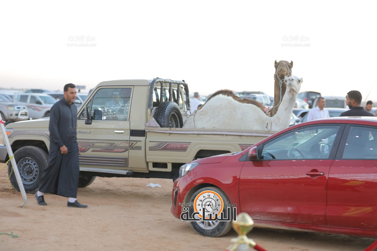 Madar Al-Saa Images 0.050167768439743465