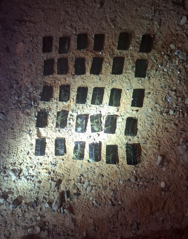 Madar Al-Saa Images 0.9861502870005638