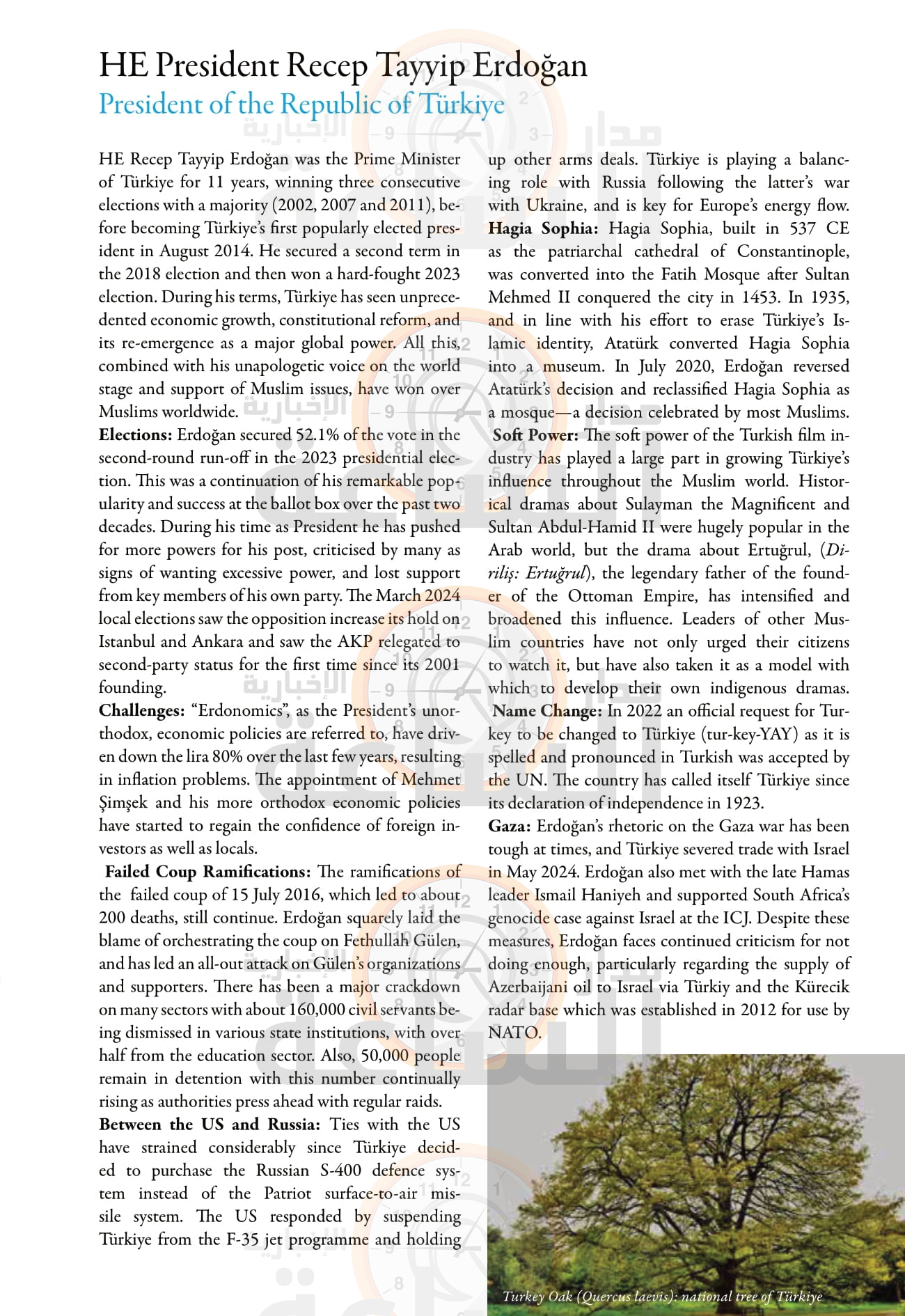 Madar Al-Saa Images 0.9968065175448098