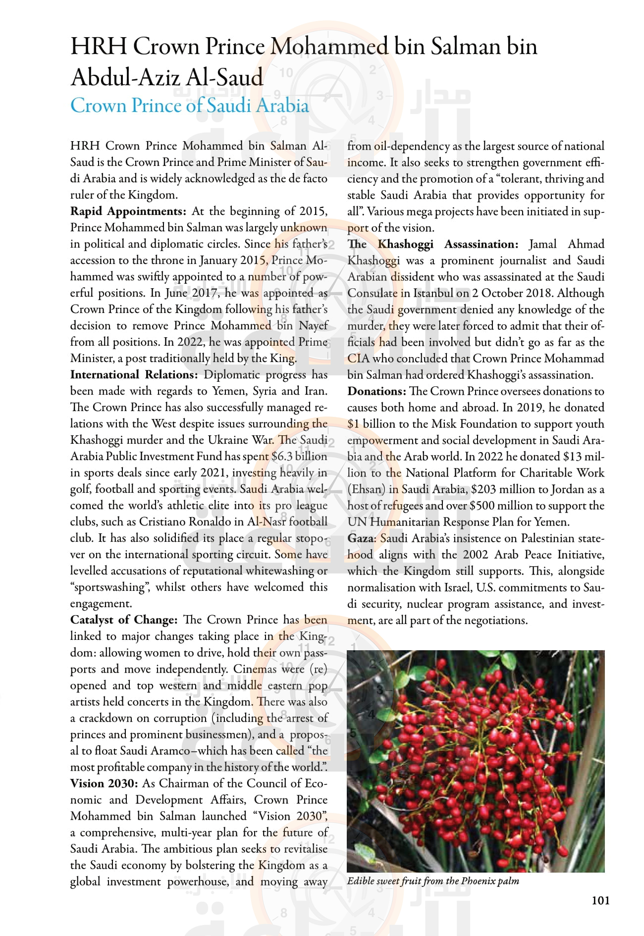 Madar Al-Saa Images 0.47820915058255453