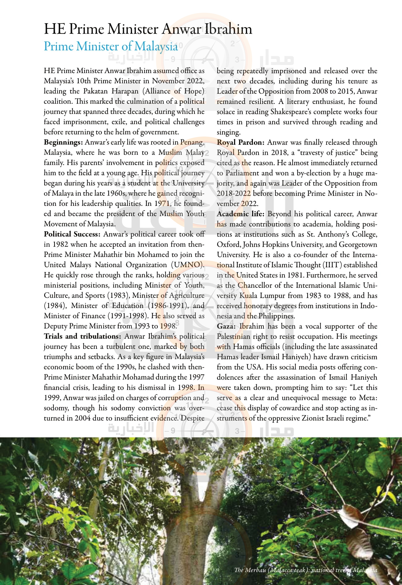 Madar Al-Saa Images 0.9320610289928384