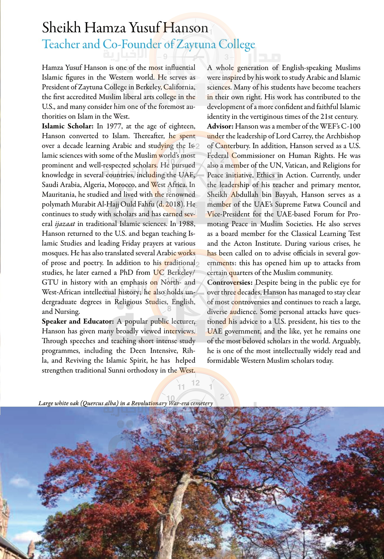 Madar Al-Saa Images 0.6833982878541902