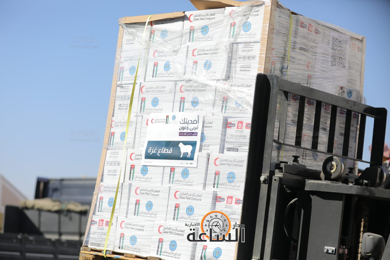 Madar Al-Saa Images 0.9220259986588399