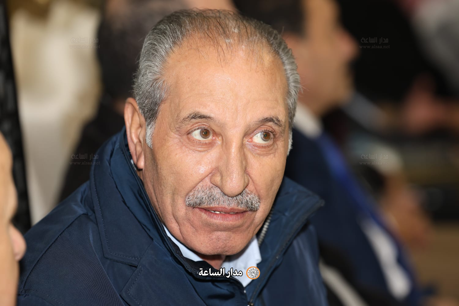 مجحم الصقور