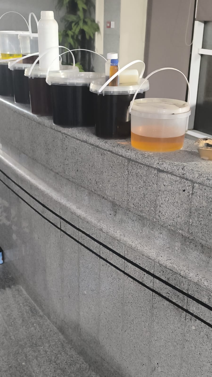 Madar Al-Saa Images 0.9140066310065313