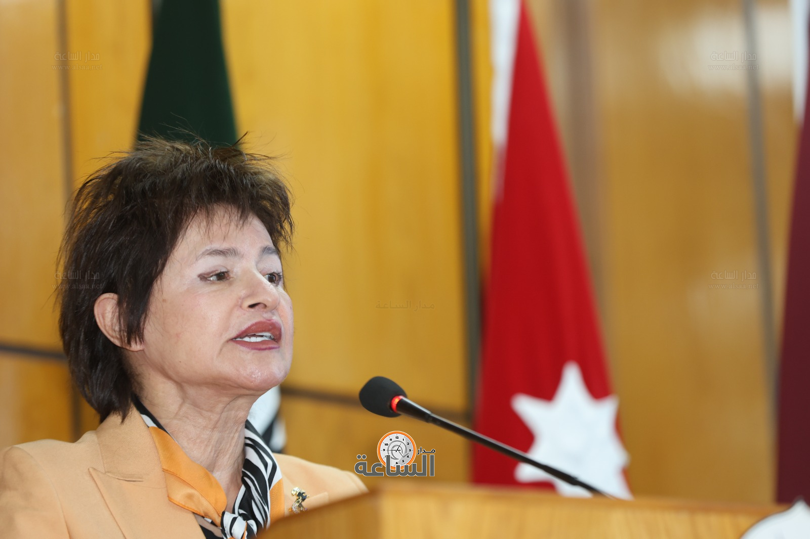 Madar Al-Saa Images 0.016218519271854692