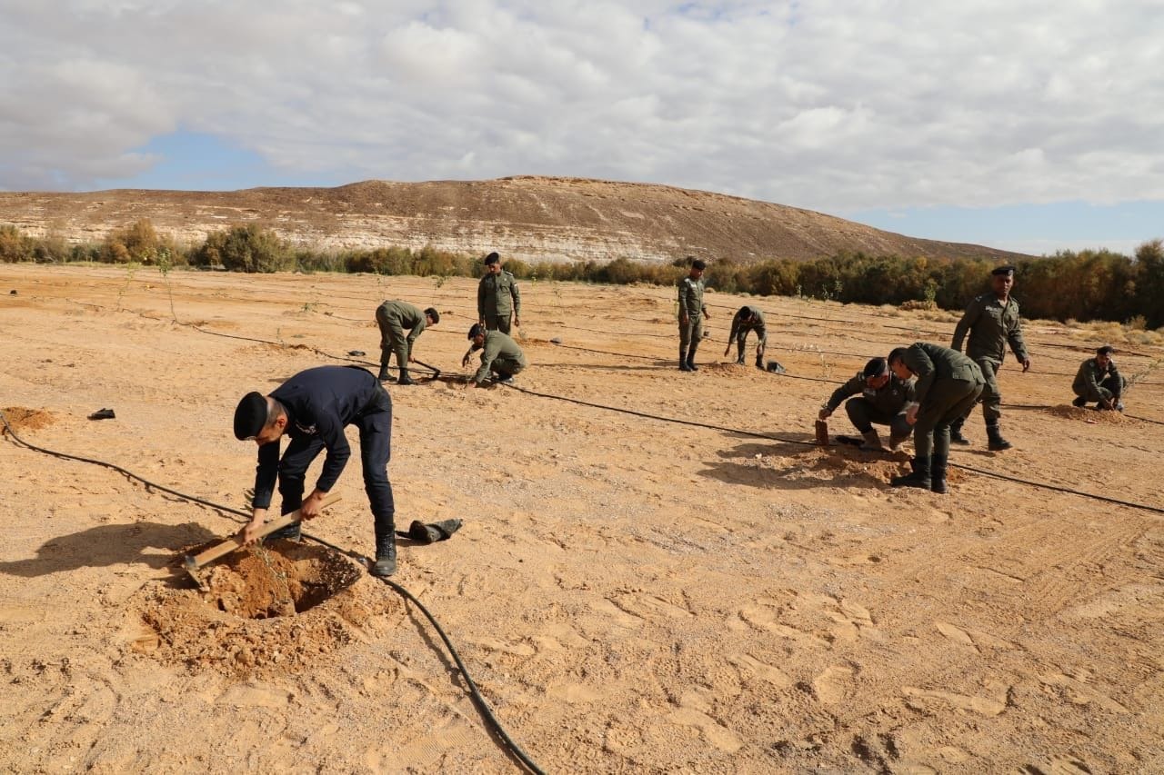 Madar Al-Saa Images 0.643293862188314