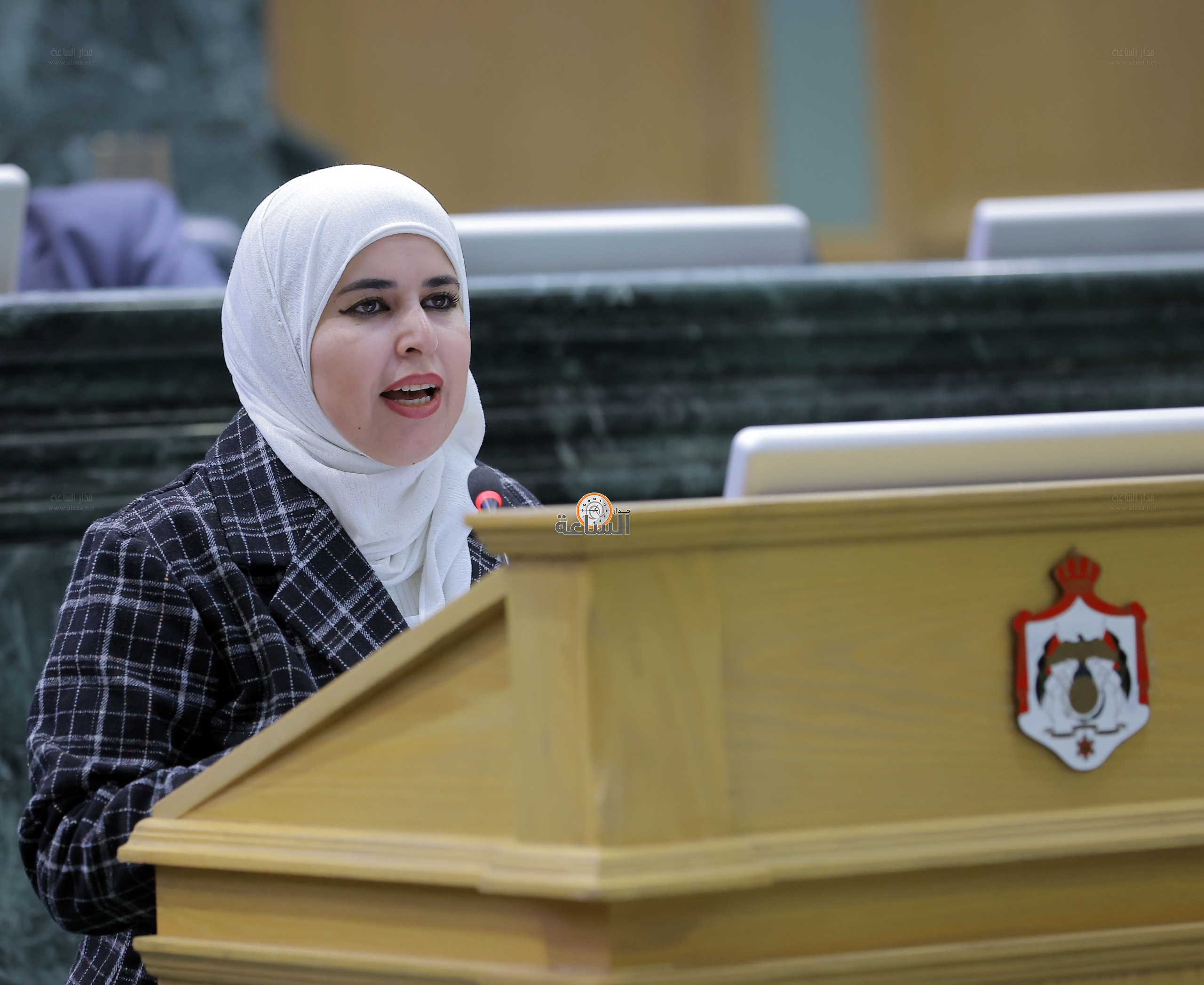 النائب مي السردية