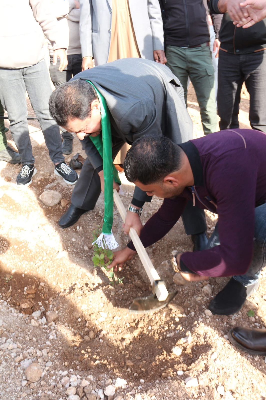 Madar Al-Saa Images 0.9257980515041204