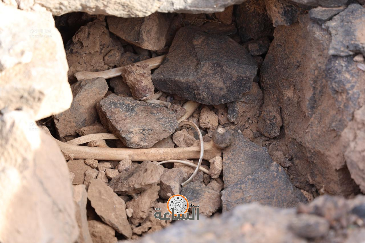 Madar Al-Saa Images 0.3500098557040363