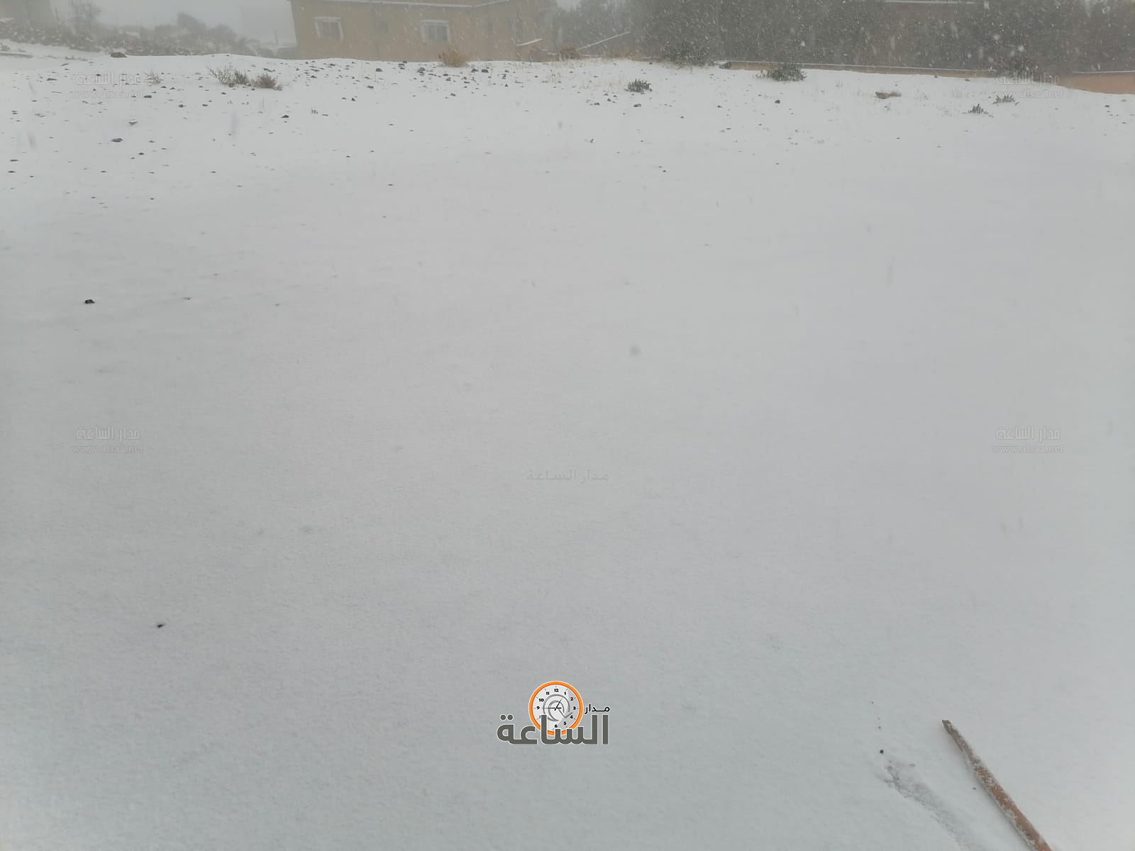 Madar Al-Saa Images 0.729785287545599