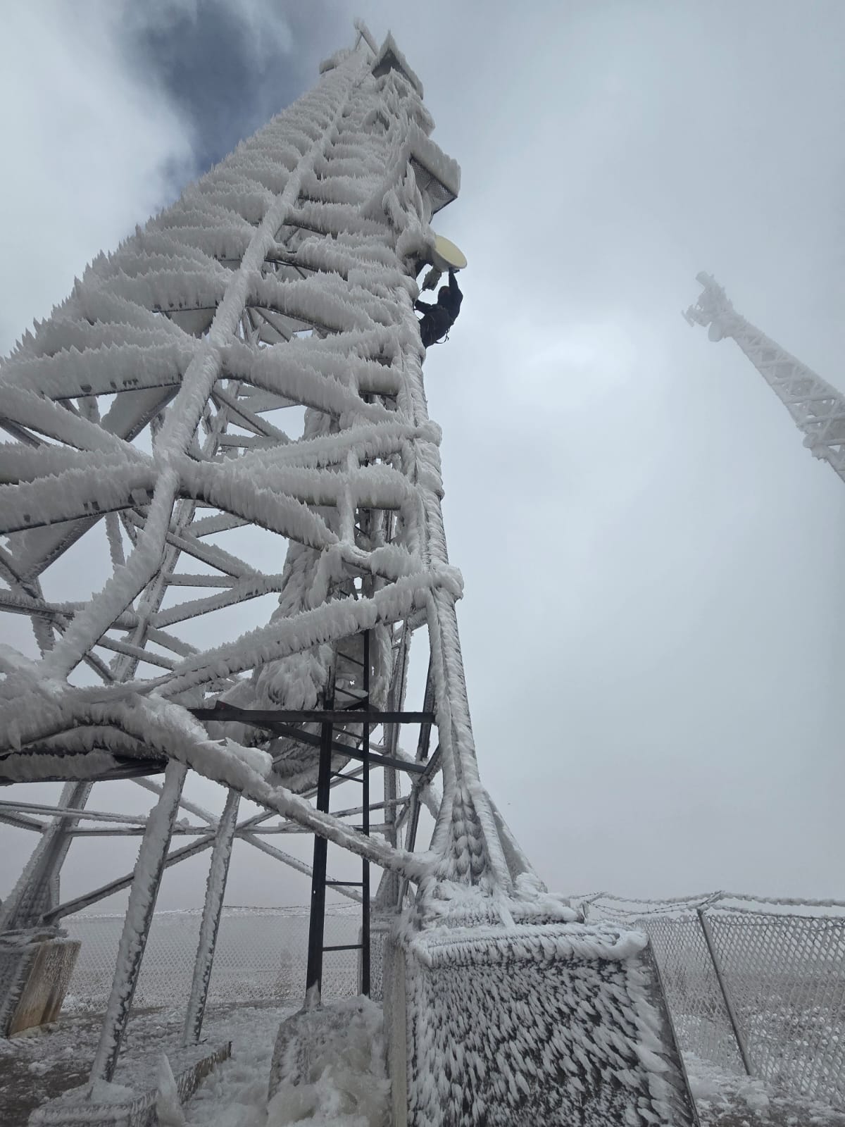 Madar Al-Saa Images 0.32065288446141893