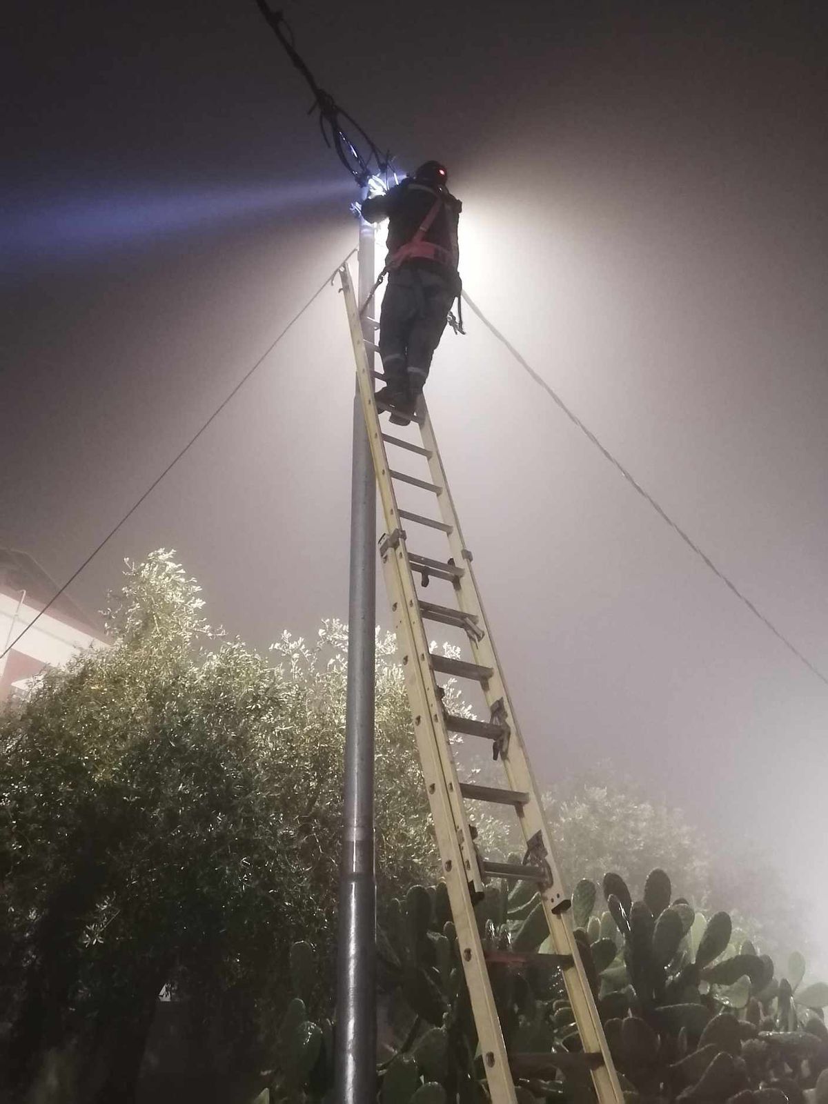 Madar Al-Saa Images 0.8131015106731834