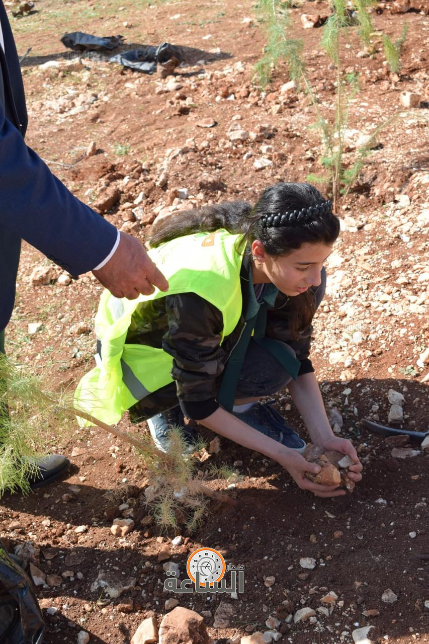 Madar Al-Saa Images 0.3931585708390133