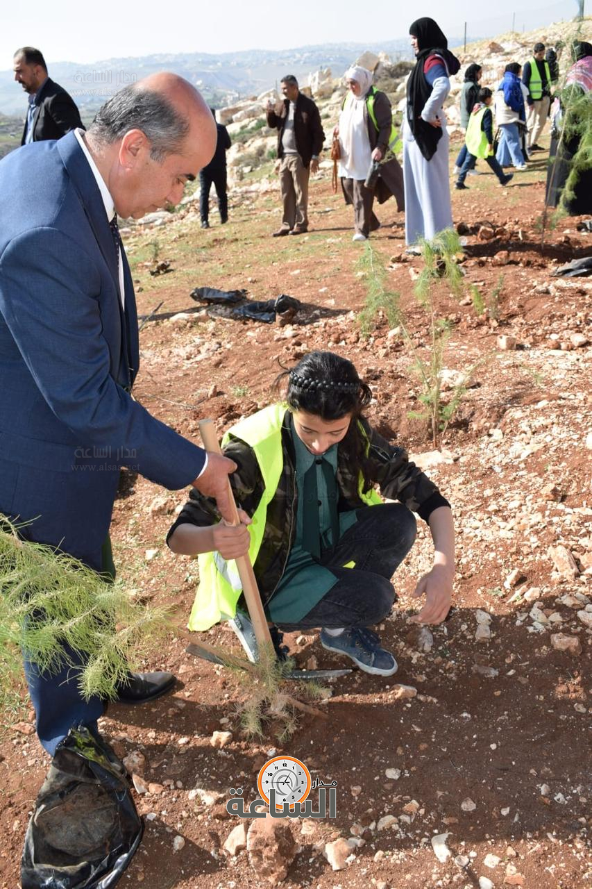 Madar Al-Saa Images 0.24235669806685123