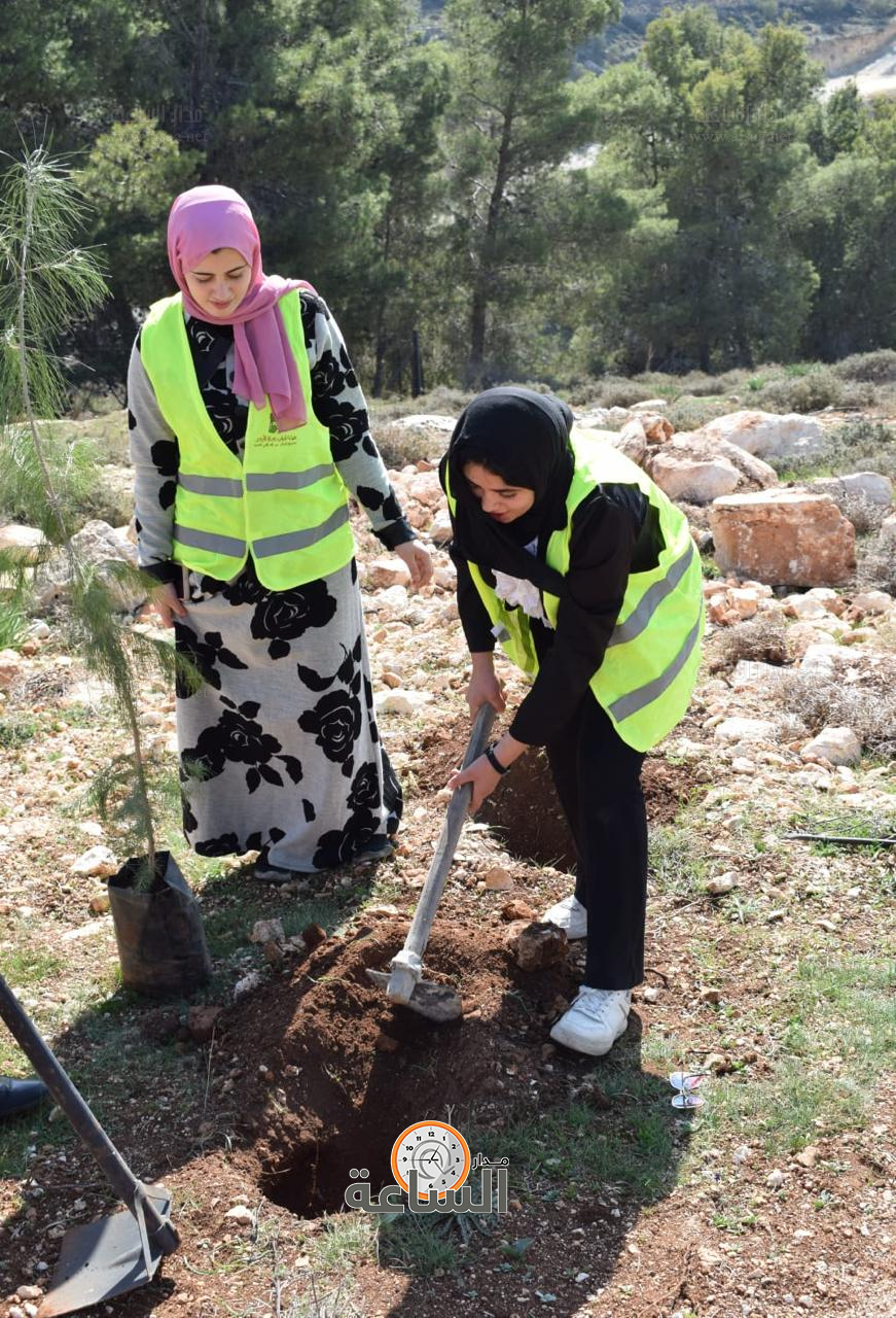 Madar Al-Saa Images 0.8010829685391758