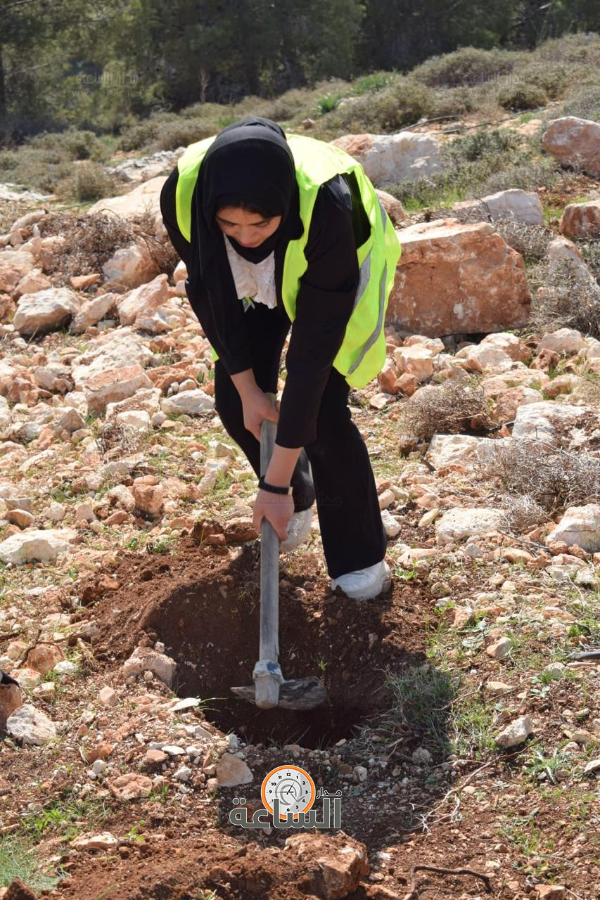 Madar Al-Saa Images 0.15161583841996595