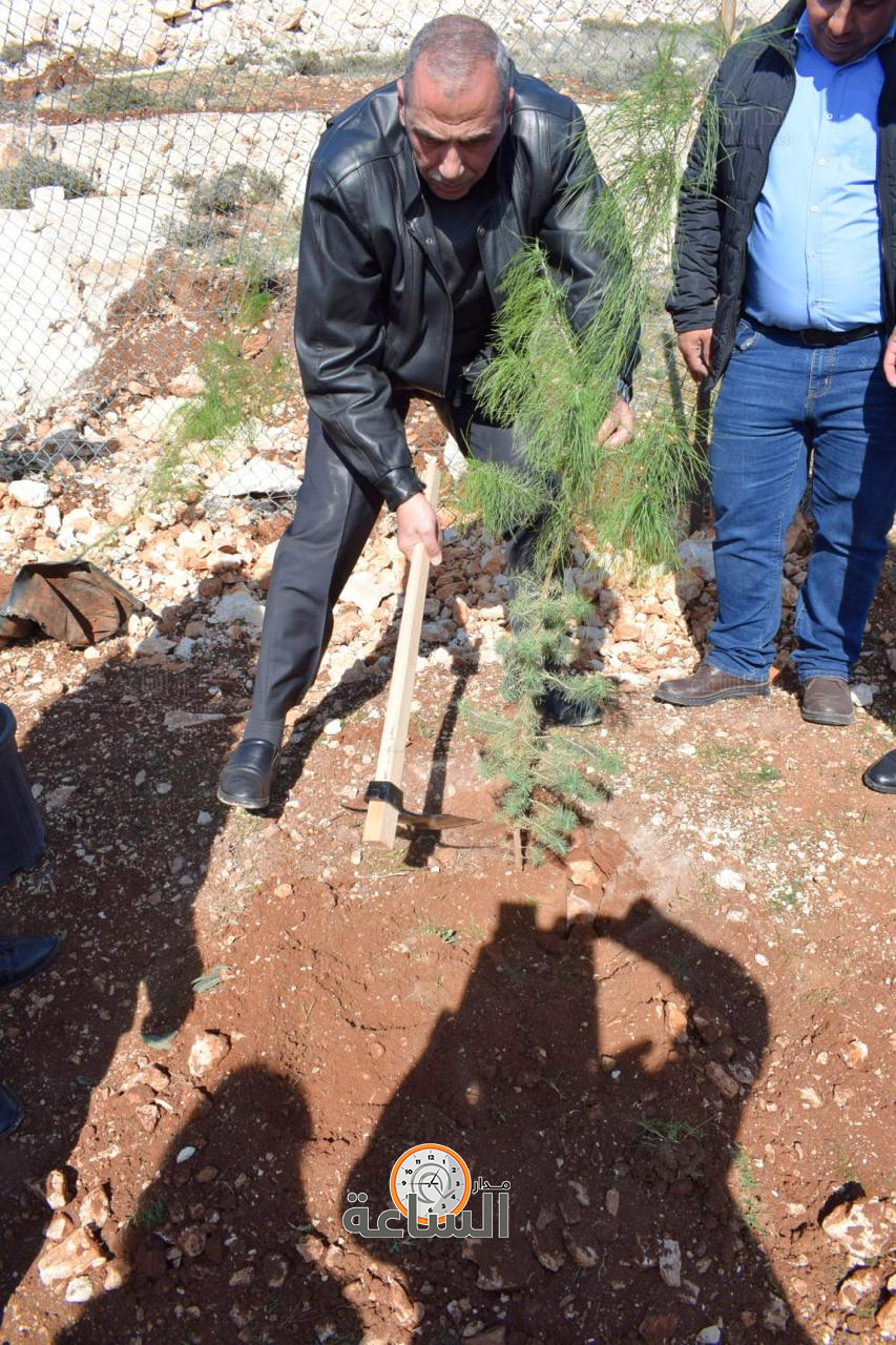 Madar Al-Saa Images 0.3150738158353106